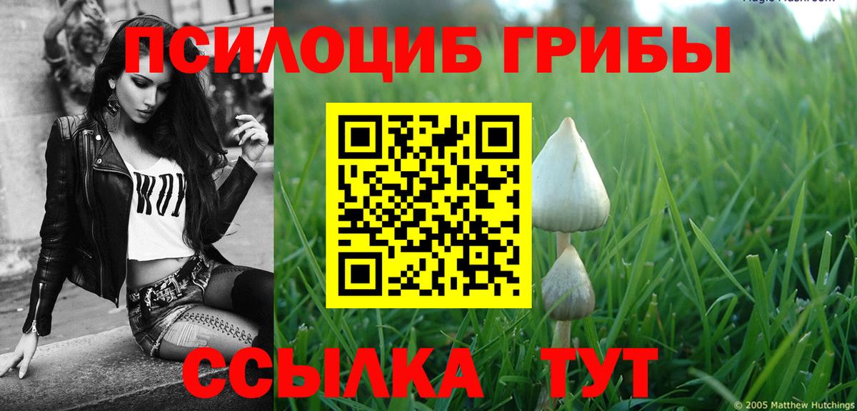 продажа наркотиков  Галлюциногенные грибы прущие грибы  Псилоцибиновые грибы Psilocybe  Вход с VPN  Горно-Алтайск 