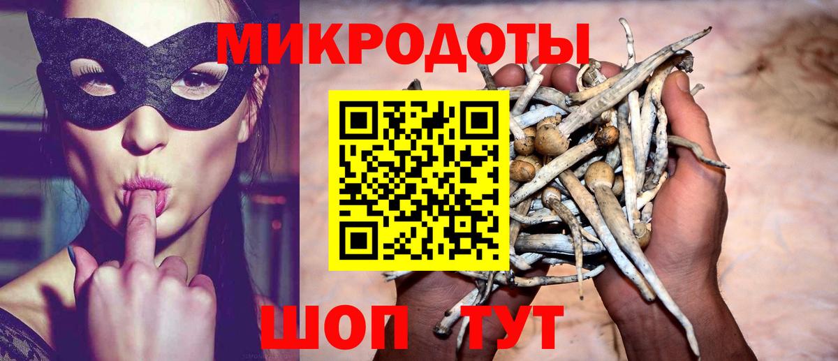 Галлюциногенные грибы мицелий Горно-Алтайск